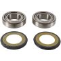 Pivot Works PWSSK-E01-000 2019 Sherco SC-R 125 PW Steering Stem Bearing Kit