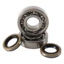 Hot Rods K236 80-81 KX 125 Main Bearing & Seal Kit