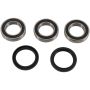 Pivot Works PWRWK-Y09-421 Wheel Bearing Kit