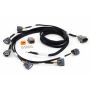 Haltech HT-130349 Elite i6 R35 COP Ignition Harness