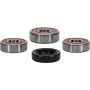 Pivot Works 25-1167-P Wheel Bearing Kit