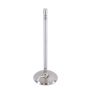 GSC Power Division 2172-01 GSC P-D Ford Voodoo/Predator 38.26mm Head (STD) 121.13mm Long Chrome Polished Intake Valve - Single