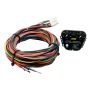 V2 Water/Methanol Multi Input Controller Kit- 0-