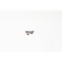 Hot Cams 5PK890204 Shim Kits 2.040mm Thickness - 5 Pack