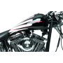 Bikers Choice 489750 85-99 Softail 1 Piece stretched 4.2 Gallon Fuel Tank Custom