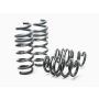 H&R 08-15 Audi R8/R8 Cabrio V8/V10 Sport Spring