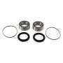Pivot Works PWRWK-Y79-000 Wheel Bearing Kit