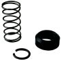 PROFORM PFM66256SS Spring & Clip Kit for #66256P