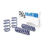 H&R 28878-2 12-15 BMW 320i Sedan/328i Sedan/335i Sedan F30 Sport Spring