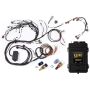 Haltech HT-151308 Elite 2500 Terminated Engine Harness ECU Kit w/Early Ignition