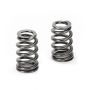 Supertech SPRK-BMS63B BMW S63 V8 Conical Spring Kit - Rate 83lbs (Ex) 80lbs (In)