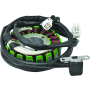 QuadBoss 463515 03-06 Kawasaki KFX400 Stator