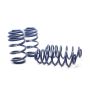 H&R 13-16 Audi A4 Allroad (AWD) B8 Sport Spring