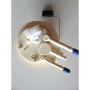 AUTOBEST F2983A Autobest F2983A Fuel Pump Module Assembly