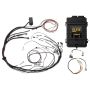 Haltech HT-150985 Elite 1500 Terminated Harness ECU Kit w/ Square EV1 Injector Connectors