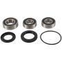 Pivot Works PWRWS-K14-000 06-08 Kawasaki EX 650R PW Rear Wheel Bearing Kit