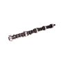 COMP CAMS COM10-202-4 Amc Cam A-268H-10 (Hyd)