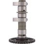 Hot Cams 2251-2IN 04/06-08 400 DVX/00-04 DR-Z 400 Intake Camshaft - Stage 2