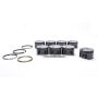 Mahle Motorsport 930205586 Piston Kit