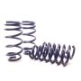 H&R 11-14 Dodge Charger RT (2WD) RT MAX V8 Sport Spring
