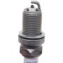 AUTOLITE SPARK PLUGS AP5503 Autolite AP5503 Platinum Spark Plug
