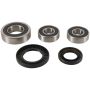 Pivot Works PWRWS-S14-000 04-05 Kawasaki KLV1000 (Euro) PW Rear Wheel Bearing Kit