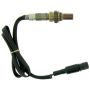 NTK 25509 Oxygen Sensors