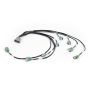 Haltech HT-186502 NEXUS Rebel LS EV6 Injector Sub-Harness
