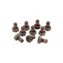 FORD FRDM4216-A300 8.8in Ring Gear Bolt Set (10 pk)