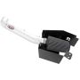 AEM Induction 21-8504DP Brute Force Intake System