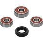 Pivot Works 25-1167-P Wheel Bearing Kit