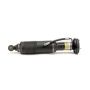 Arnott Industries SK-2482 Remanufactured Suspension Strut
