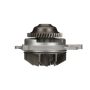 Airtex Water Pumps AW5098 Engine Water Pump