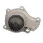 Airtex Water Pumps AW7167 Engine Water Pump
