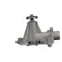 Airtex Water Pumps AW819 Engine Water Pump