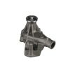 Airtex Water Pumps AW5051 Engine Water Pump