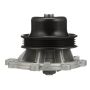 Airtex Water Pumps AW5067 Engine Water Pump