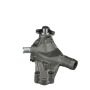 Airtex Water Pumps AW5090 Engine Water Pump