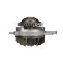 Airtex Water Pumps AW5098 Engine Water Pump