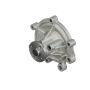 Airtex Water Pumps AW6030 Engine Water Pump
