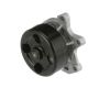 Airtex Water Pumps AW6749 Engine Water Pump