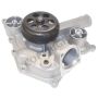 Airtex Water Pumps AW7170 Engine Water Pump