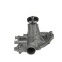 Airtex Water Pumps AW819 Engine Water Pump
