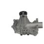 Airtex Water Pumps AW819 Engine Water Pump
