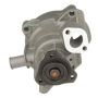 Airtex Water Pumps AW9061 Engine Water Pump