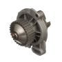 Airtex Water Pumps AW9171 Engine Water Pump
