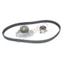Airtex Water Pumps AWK1256 Engine Timing Belt Kit with Water Pump
