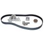 Airtex Water Pumps AWK1321 Engine Timing Belt Kit with Water Pump