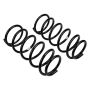 ARB / OME Coil Spring Rear 4Run
