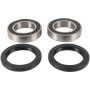 Pivot Works PWRWK-S11-020 Wheel Bearing Kit